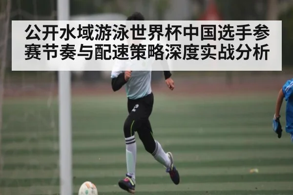 公开水域游泳世界杯中国选手参赛节奏与配速策略深度实战分析